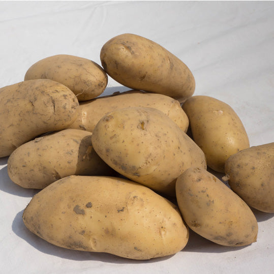 PATATE GIALLE 2a SCELTA