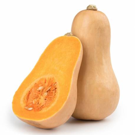 ZUCCA 'BUTTERNUT' tagliata, circa 1 kg